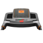 Купить Carbon THX 55 PAFERS EDITION Беговая дорожка, цена