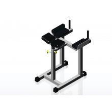 Обратная гиперэкстензия FT-334