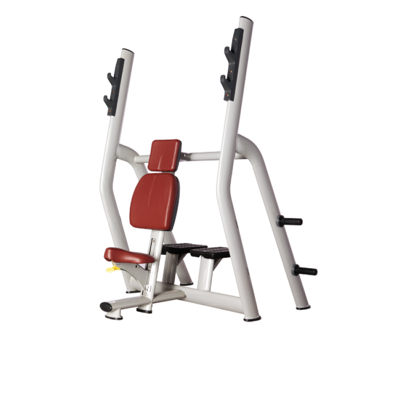 Купить Bronze Gym H-025B Скамья для жима вертикальная