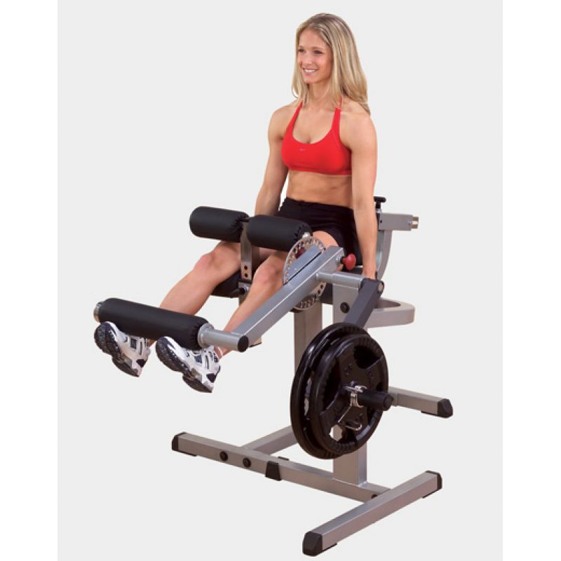 Купить Сгибание-разгибание ног Body Solid GCEC-340