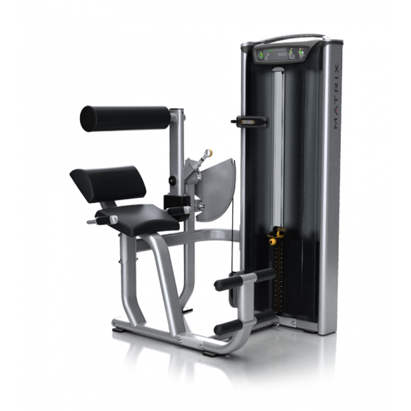 Купить Matrix VERSA PLUS VS-S52P Разгибание спины