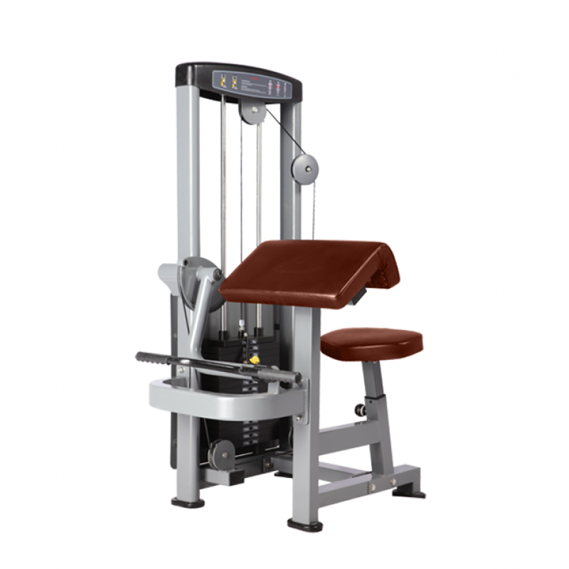 Купить Bronze Gym D-006 Бицепс-машина