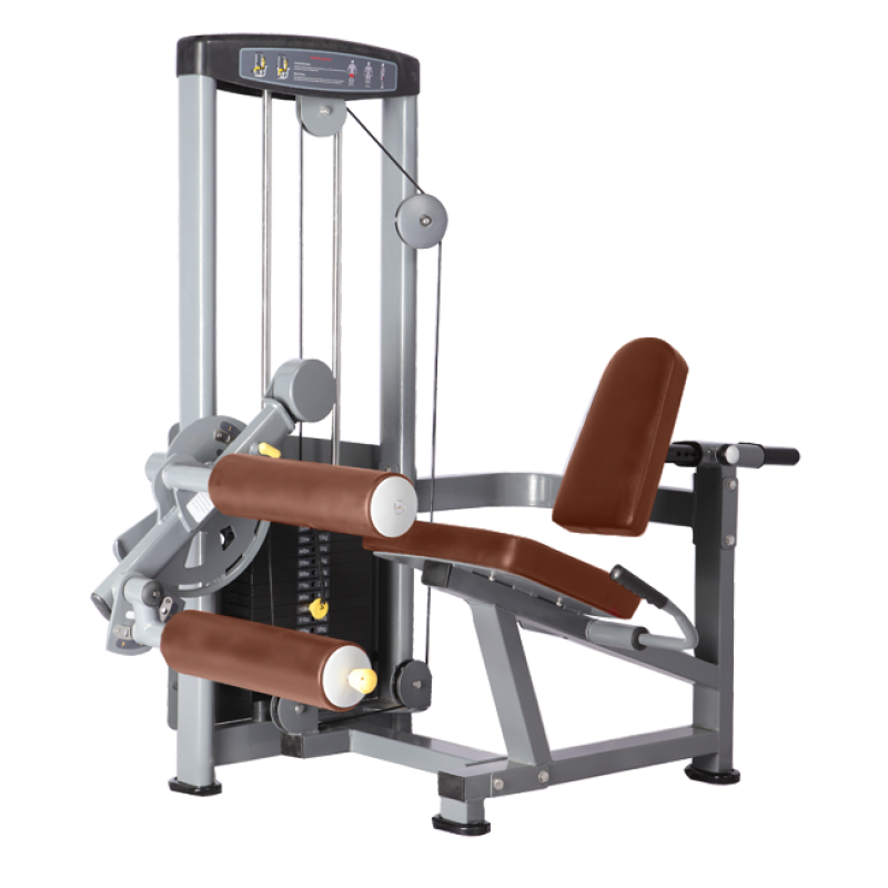 Купить Bronze Gym D-013 Сгибание ног сидя