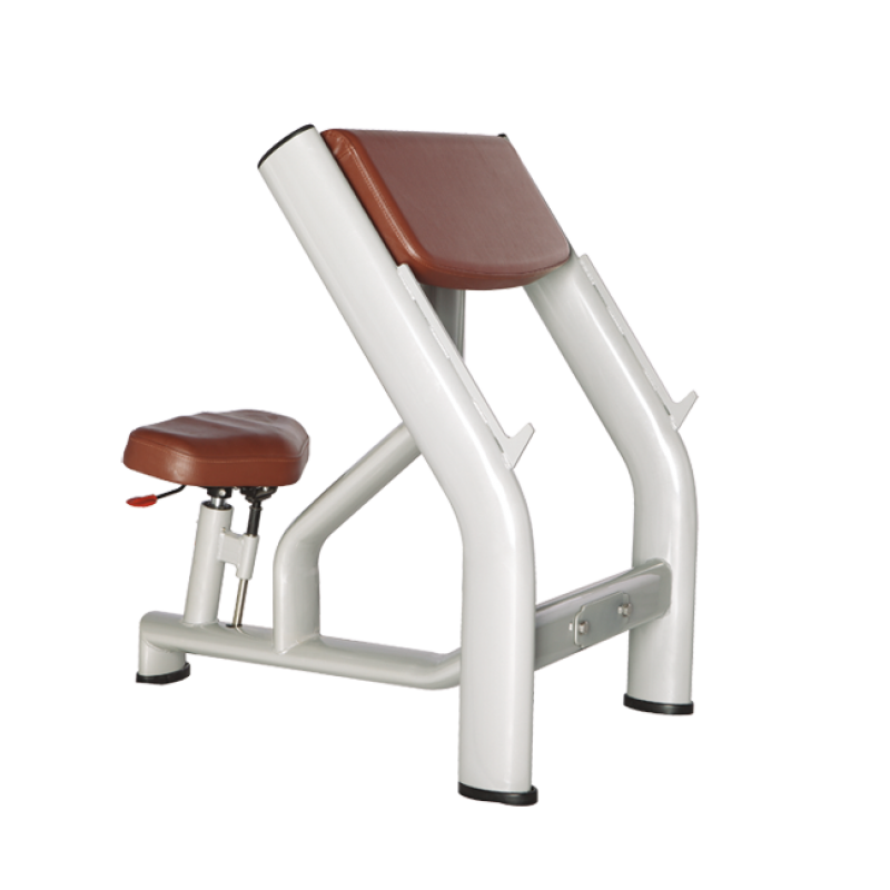 Купить Bronze Gym H-040A Скамья Скотта