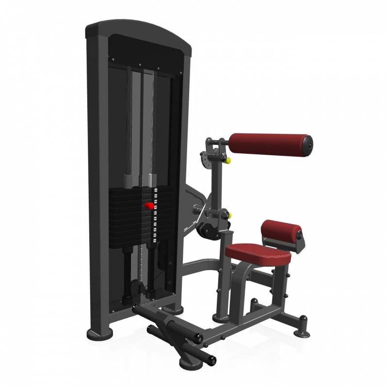 Купить Пресс-машина - Разгибание спины (2в1) Marbo Sport MP-U220
