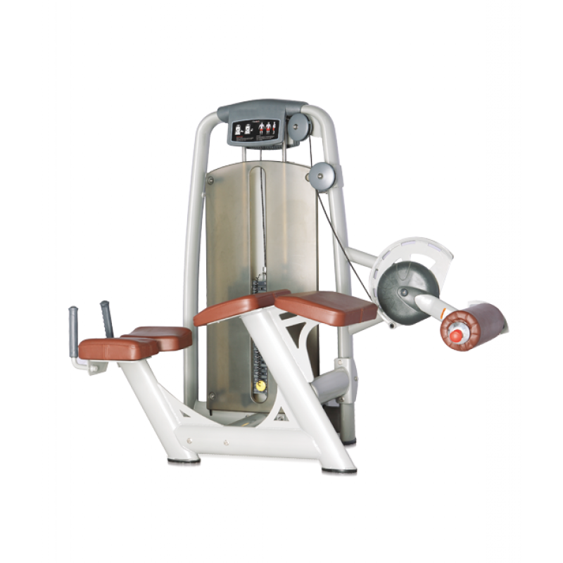 Купить Bronze Gym A9-013A Сгибание ног лежа