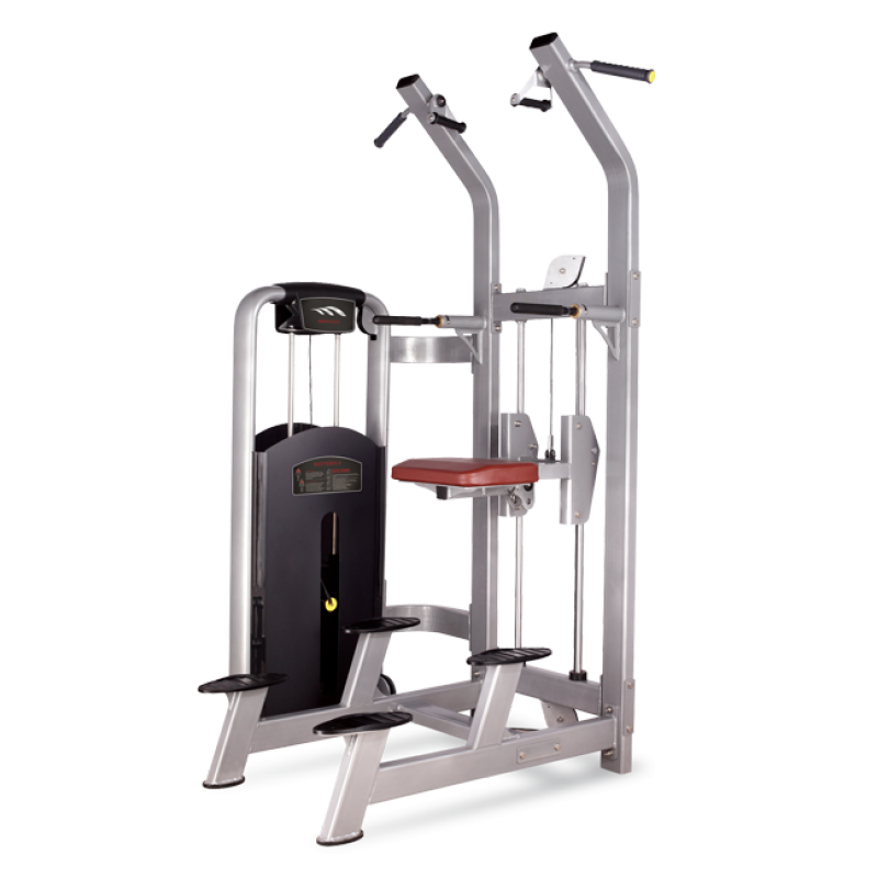 Купить Bronze Gym MV-008 Турник/Брусья с противовесом