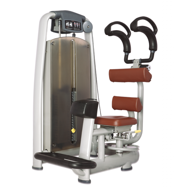Купить Bronze Gym A9-011 Торс-машина