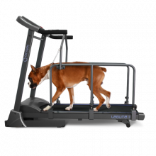 Беговая дорожка Oxygen Laguna II ML  Doggie Edition