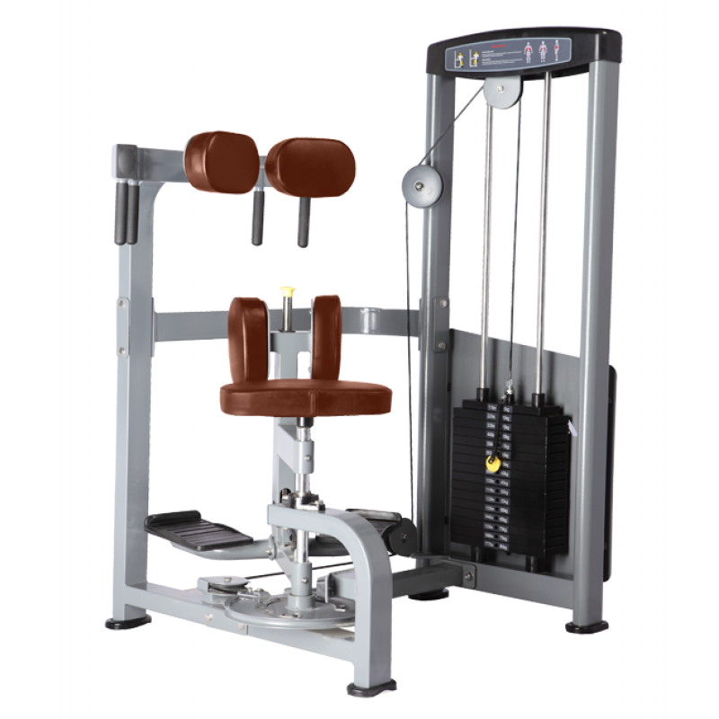Купить Bronze Gym D-011 Торс-машина