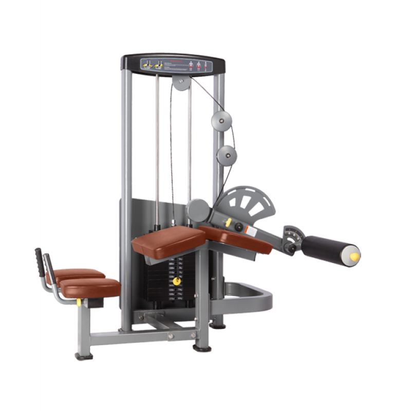 Купить Bronze Gym MV-013А Сгибание ног лежа